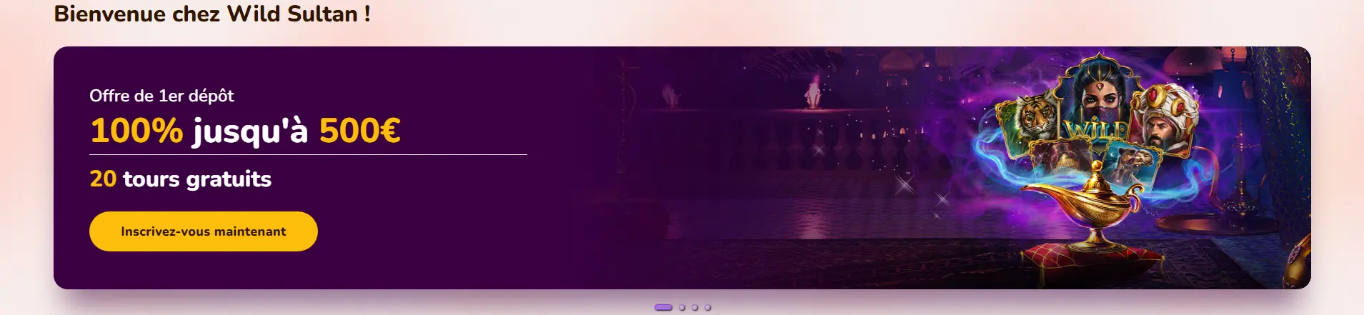Bonus de premier dépôt proposé par Wild Sultan Casino