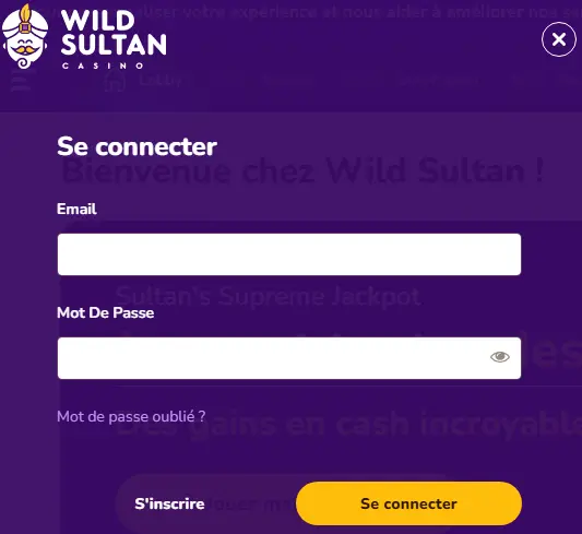Connexion des joueurs au Wild Sultan Casino